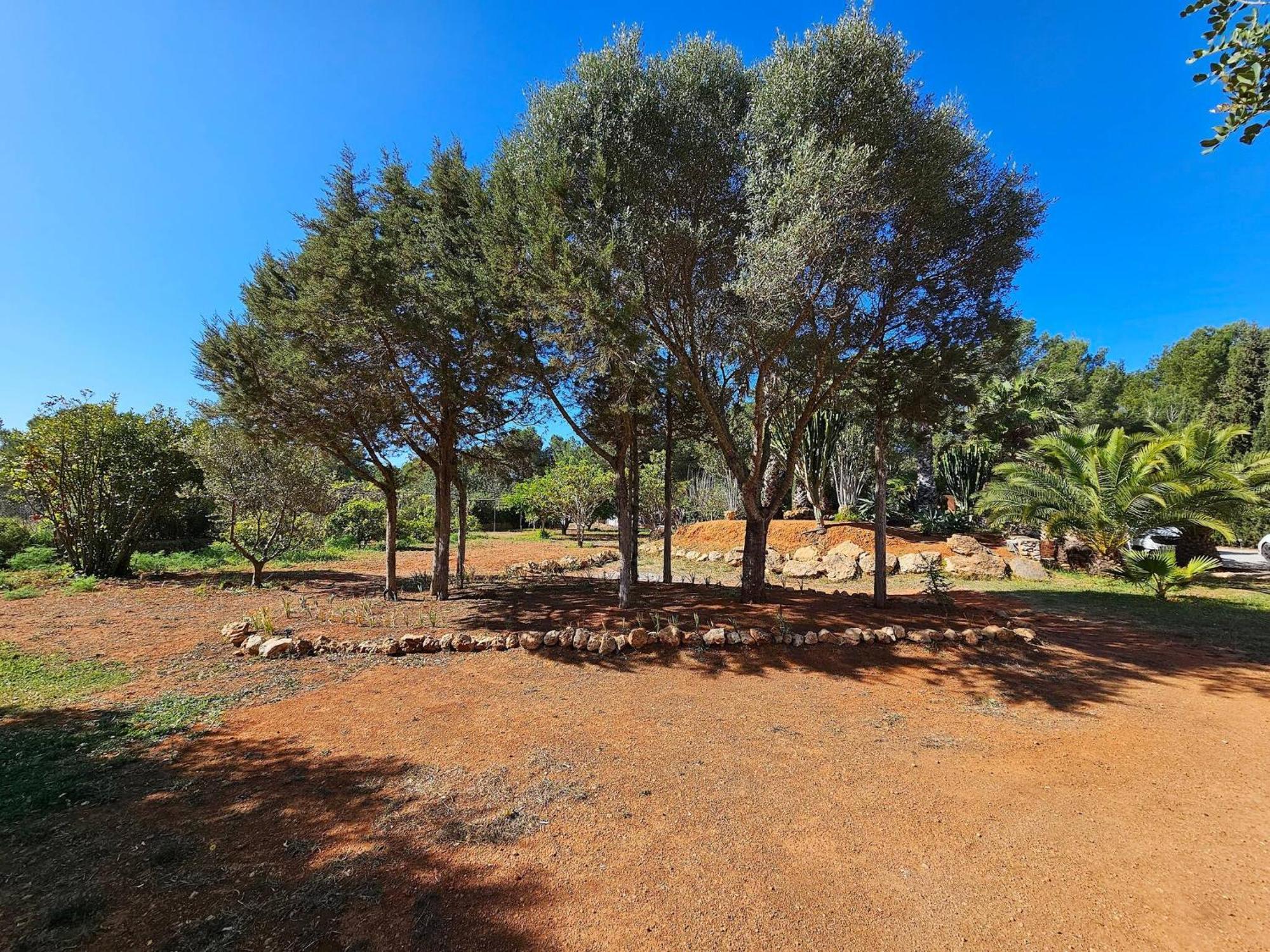Cala Jondal "Can Amanaya" San José Buitenkant foto
