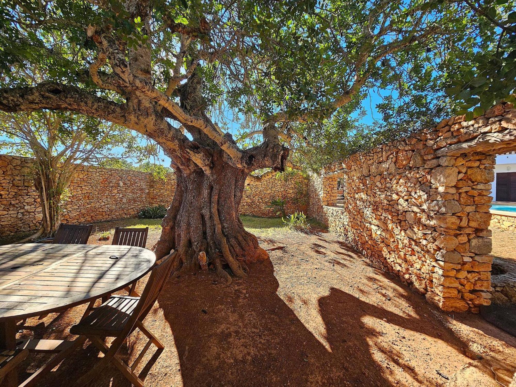 Cala Jondal "Can Amanaya" San José Buitenkant foto